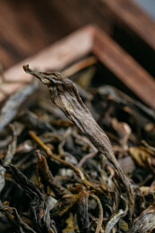 室内拍摄的普洱茶生茶