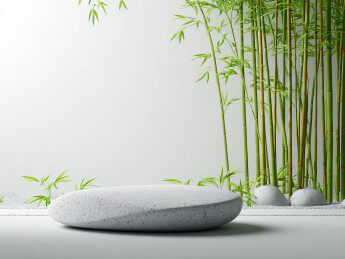 禅意竹林石头产品展台