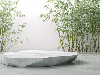 禅意竹林石头产品展台