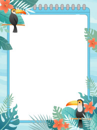 热带植物动物花卉可爱大嘴鸟扁平化卡通边框