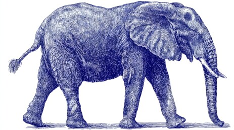 大象艺术插画