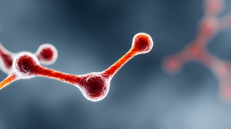 科学显微镜下的分子结构详细图像