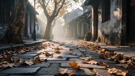 秋日古巷落叶铺陈