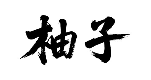 柚子矢量书法手写毛笔字