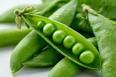 新鲜豌豆荚展示绿色健康食材