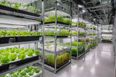 室内垂直农业种植设施展示