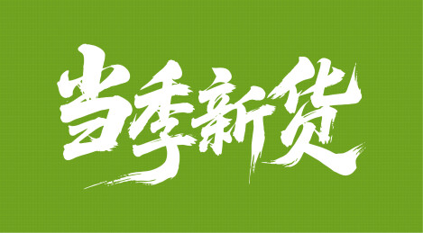 当季新货矢量书法手写毛笔字