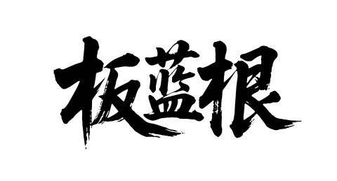 板蓝根矢量书法手写毛笔字