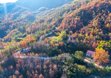 湖北英山冷山村秋日乡村公路美景