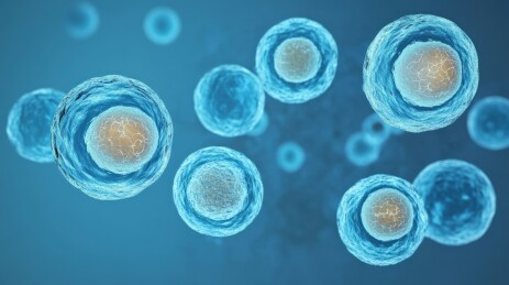 细胞生物学研究与发展