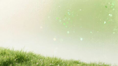 绿草坡与朦胧光斑背景