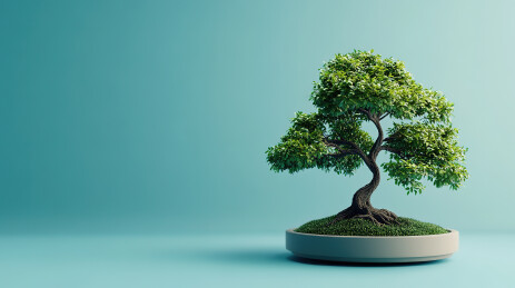 盆摘背景