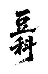 豆科矢量书法手写毛笔字