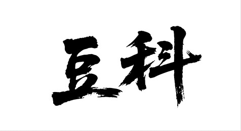 豆科矢量书法手写毛笔字