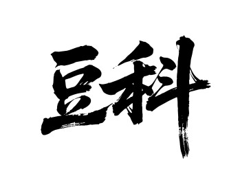 豆科矢量书法手写毛笔字