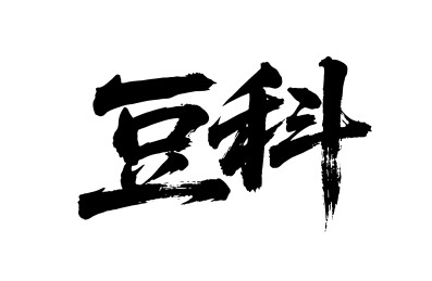 豆科矢量书法手写毛笔字