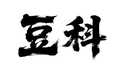 豆科矢量书法手写毛笔字
