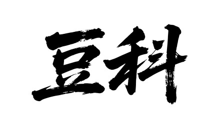 豆科矢量书法手写毛笔字