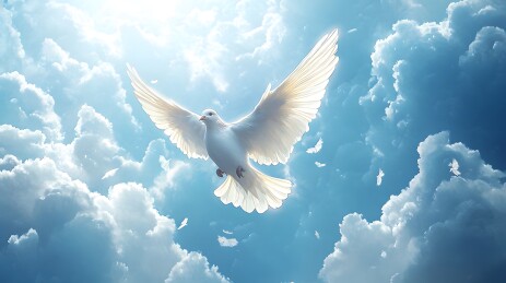 蔚蓝天空中展翅飞翔的金色鸟儿