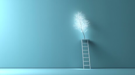 梯子上发光的树