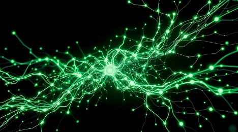 绿色神经元网络
