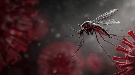 蚊子与病毒展示疾病传播概念