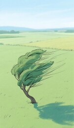 田野里的大风