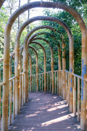 晴朗的夏日，成都邛崃市白鹤山户外风景