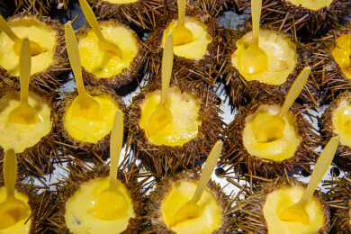 山东省青岛市劈柴院美食街的海胆蒸蛋