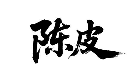 陈皮矢量书法手写毛笔字