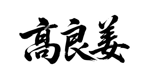 高良姜矢量书法手写毛笔字