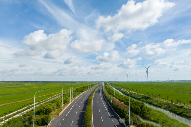 夏季高速公路和路边的夹竹桃