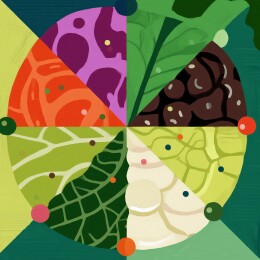 色彩斑斓：蔬菜拼图的艺术