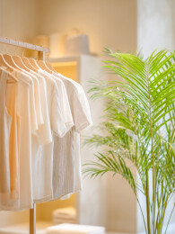 简约衣架与绿植