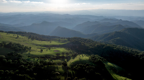 高山草甸自然风景