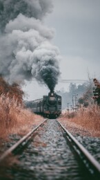 蒸汽火车行驶在铁轨上烟雾弥漫