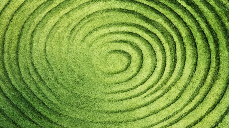 绿色抹茶粉的表面纹理背景