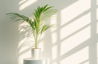 植物盆摘