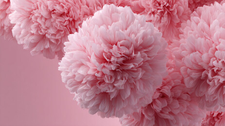 粉色绒球装饰特写图