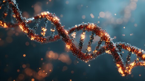 DNA双螺旋结构分子模型