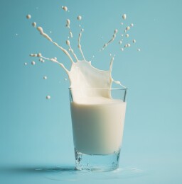 长颈鹿溅牛奶入玻璃杯