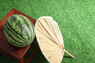 夏天绿色草坪上摆放着的新鲜水果西瓜和蒲扇