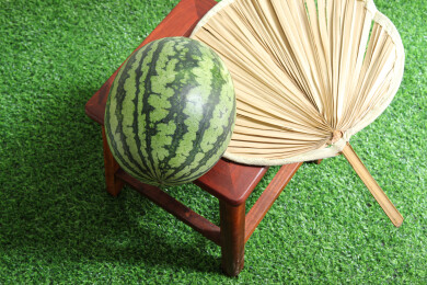 夏天绿色草坪上摆放着的新鲜水果西瓜和蒲扇