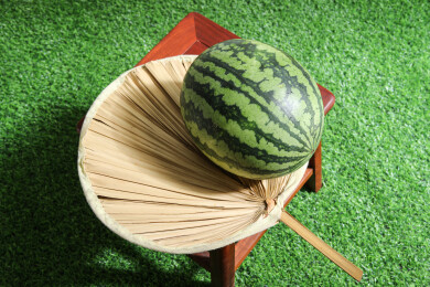 夏天绿色草坪上摆放着的新鲜水果西瓜和蒲扇