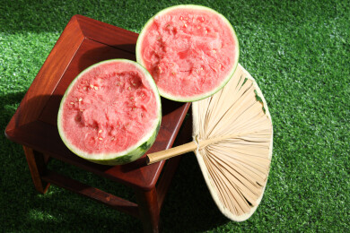 夏天绿色草坪上摆放着的新鲜水果西瓜和蒲扇