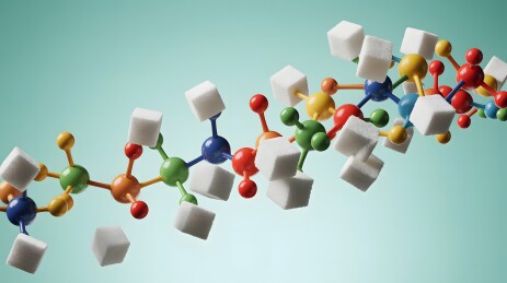 糖分子结构模型