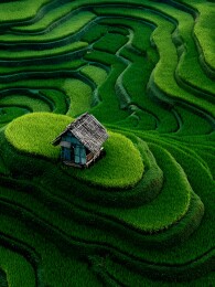 梯田中的小屋