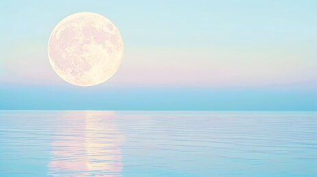 满月倒映在水面上