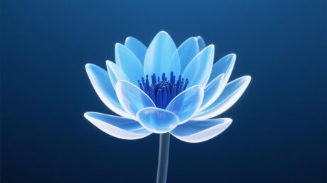 蓝莲冷调艺术展示场景