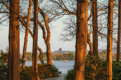 杨公堤视角的杭州西湖美景，背景为城隍庙